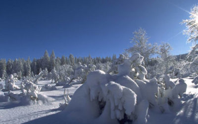 Der Winter ist ein rechter Mann