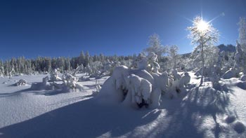 Winterlieder zum mitsingen gibts auf Das-Weihnachtslied.de